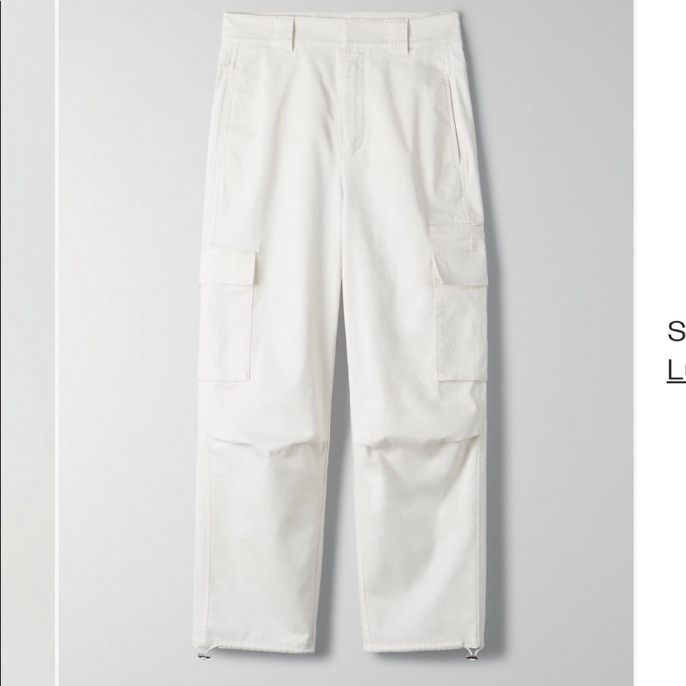 Aritzia Group by Babaton Neve Pant